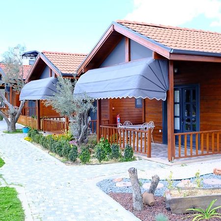 Milo Cunda Bed and Breakfast Ayvalı Εξωτερικό φωτογραφία